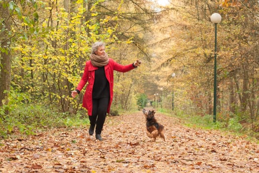 Middle aged woman in the autumn forest with her dog