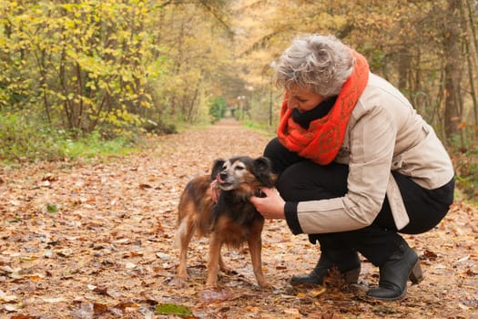 Middle aged woman in the autumn forest with her dog