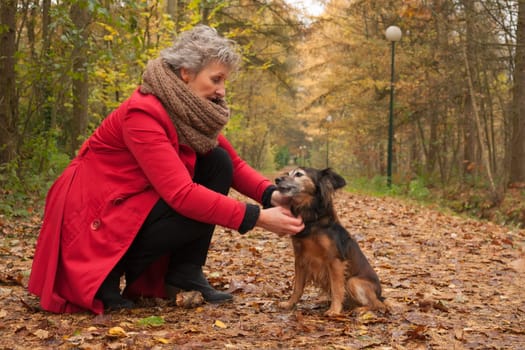 Middle aged woman in the autumn forest with her dog