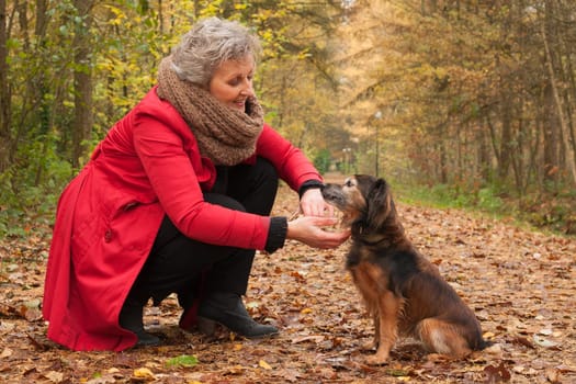 Middle aged woman in the autumn forest with her dog