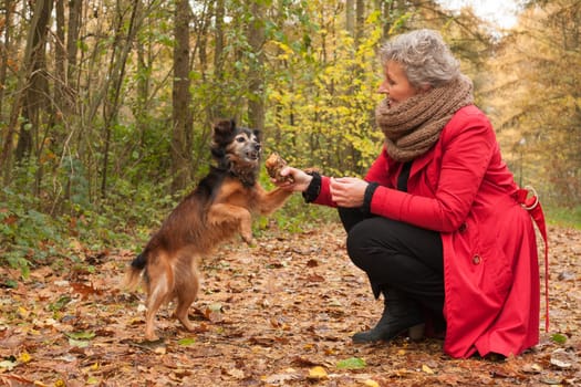 Middle aged woman in the autumn forest with her dog