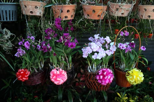 Theflower market Thewet in the center of the capital Bangkok in Thailand.