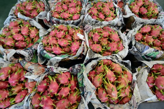 Red Pitahaya or Keow Mang or Dragon Fruit Fruechte at a market in the capital Bangkok of Thailand in South East Asia.