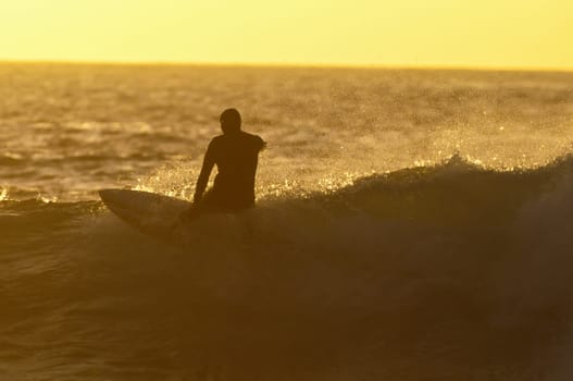 Backlight Silhouette Surfer in the Ocean at Sunset