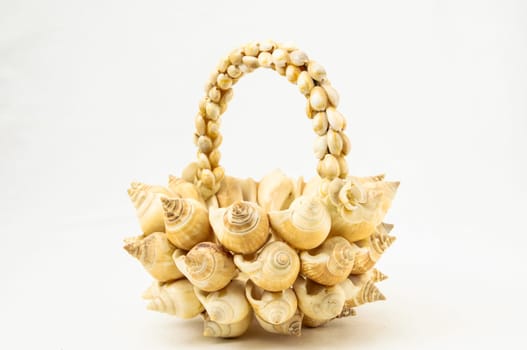 Handmade Textured Shells Vase on a White Background