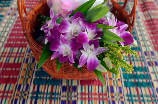 Orchids in the province of Amnat Charoen northwest of Ubon Ratchathani in northeastern Thailand in South East Asia.