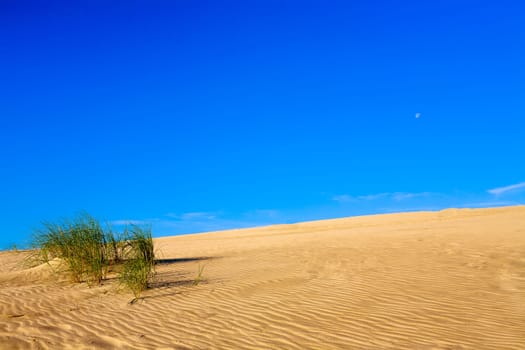 photo presents sandy dune with blue sky.