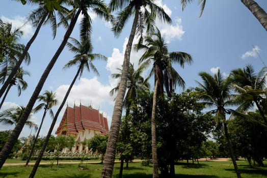 The temple Wat Pak Saeng near Lakhon Pheng on the Mekong River in Amnat Charoen province northwest of Ubon Ratchathani in northeastern Thailand in South East Asia.