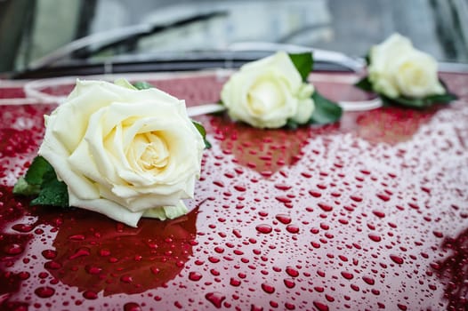 wedding car decoration,set of 3 white roses,claret or red car with raindrops on visible body of the car.