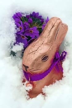 Easter Bunny in the Snow