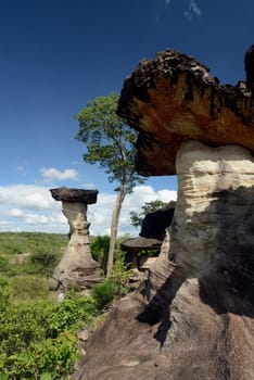 The landscape and mushroom slacks in Pha Taem National Park near Ubon Ratchathani in northeastern Thailand in South East Asia.