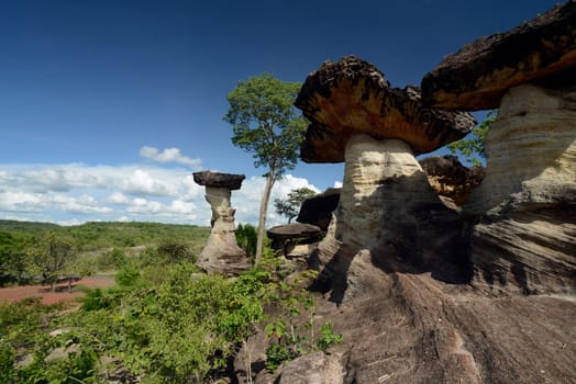 The landscape and mushroom slacks in Pha Taem National Park near Ubon Ratchathani in northeastern Thailand in South East Asia.