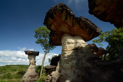 The landscape and mushroom slacks in Pha Taem National Park near Ubon Ratchathani in northeastern Thailand in South East Asia.