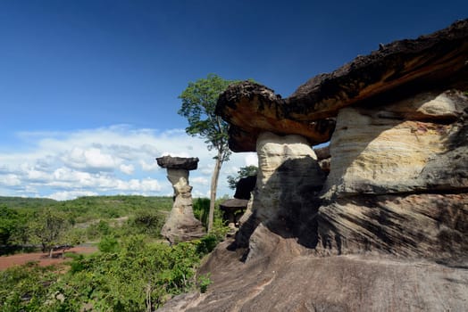 The landscape and mushroom slacks in Pha Taem National Park near Ubon Ratchathani in northeastern Thailand in South East Asia.