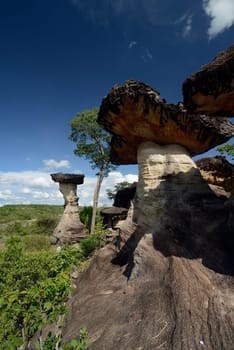 The landscape and mushroom slacks in Pha Taem National Park near Ubon Ratchathani in northeastern Thailand in South East Asia.