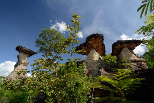 The landscape and mushroom slacks in Pha Taem National Park near Ubon Ratchathani in northeastern Thailand in South East Asia.