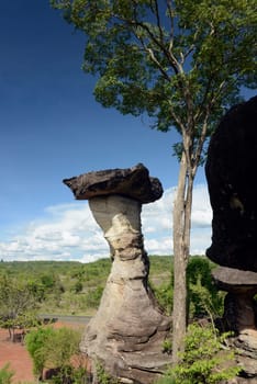 The landscape and mushroom slacks in Pha Taem National Park near Ubon Ratchathani in northeastern Thailand in South East Asia.