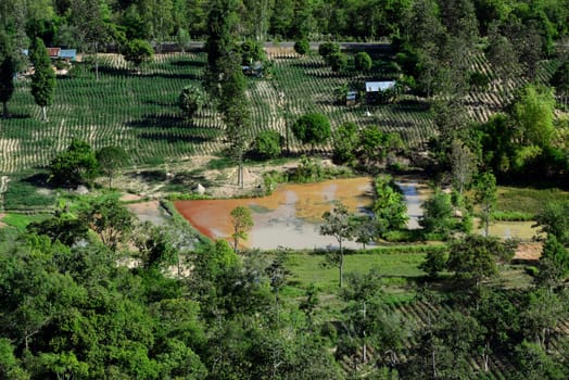 The landscape on the Mekong River from Pha Taem National Park at Khong Chiam near Ubon Ratchathani in northeastern Thailand in South East Asia.
