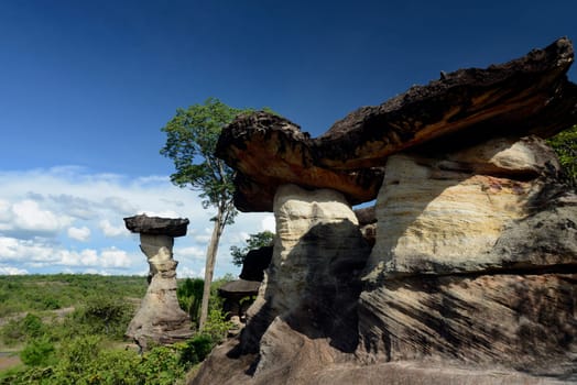 The landscape and mushroom slacks in Pha Taem National Park near Ubon Ratchathani in northeastern Thailand in South East Asia.