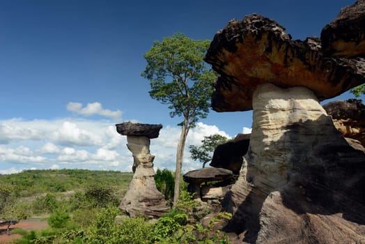 The landscape and mushroom slacks in Pha Taem National Park near Ubon Ratchathani in northeastern Thailand in South East Asia.