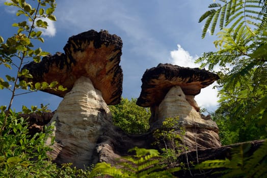 The landscape and mushroom slacks in Pha Taem National Park near Ubon Ratchathani in northeastern Thailand in South East Asia.