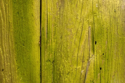 Green-yellow painted wooden board surface closeup as background