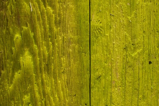 Green-yellow painted wooden board surface closeup as background