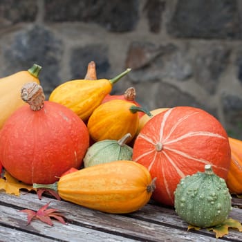 zierkürbis mix