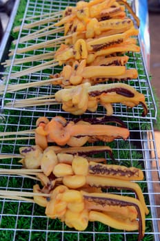 Squids on a barbecue at a folk festival in Amnat Charoen province northwest of Ubon Ratchathani in northeastern Thailand in South East Asia.
