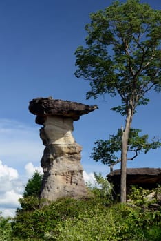 The landscape and mushroom slacks in Pha Taem National Park near Ubon Ratchathani in northeastern Thailand in South East Asia.