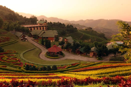 Das Hotel Resort Maesalong Flower Hills beim Bergdorf Mae Salong in der Huegellandschaft noerdlich von Chiang Rai in der Provinz Chiang Rai im Norden von Thailand in Suedostasien.