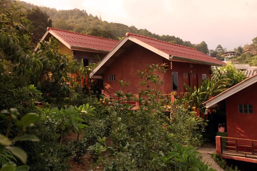 Hotel Bungalow im Bergdorf Mae Salong in der Huegellandschaft noerdlich von Chiang Rai in der Provinz Chiang Rai im Norden von Thailand in Suedostasien.