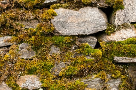Dry masonry stonewall with moss closeup as background