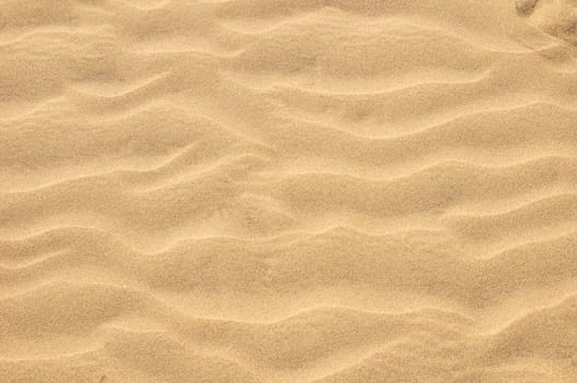 Texture Sand Dune Desert in Gran Canaria Island Spain