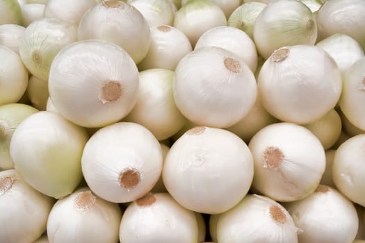 Approach to group of onions showing his details, textures and colors