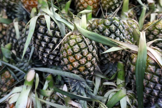 Pineapple at the Talat Warorot market in Chiang Mai in Chiang Mai Province in northern Thailand in South East Asia.