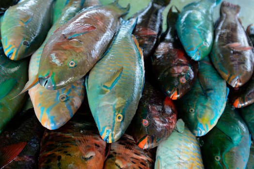 Fresh papagai fish at a seafood restaurant on Rawai Beach on Phuket Island in southern Thailand in South East Asia.