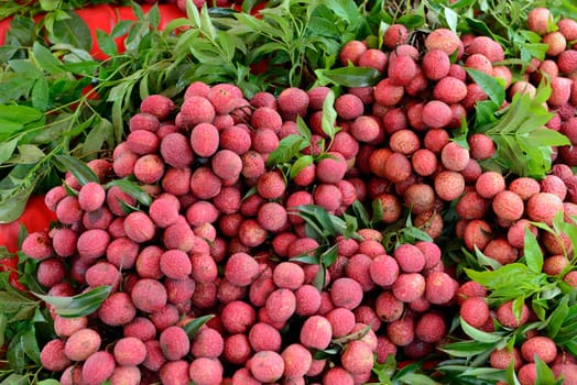 Lechee Fruechte at a stall on the island of Phuket in the south of Thailand in South East Asia.
