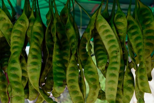 Gemuese at a regional market on the island of Phuket in the south of Thailand in South East Asia.