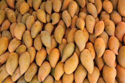 The market in the provincial capital Amnat Charoen in the province of Amnat Charoen in the Isan in northeastern Thailand.