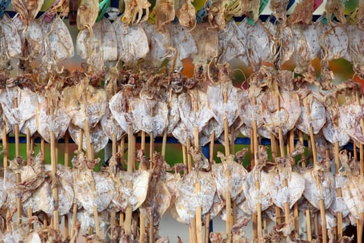 Getrocknete Tintenfische auf dem Markt beim Bun Bang Fai oder Rocket Festival in Yasothon im Isan im Nordosten von Thailand.