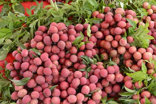 Lechee Fruechte at a stall on the island of Phuket in the south of Thailand in South East Asia.