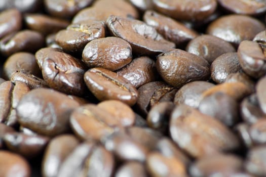 Details of coffee beans.