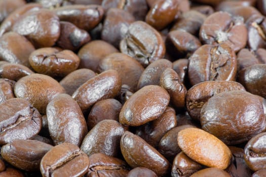 Macro of coffee beans