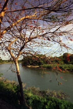 The landscape on the Mae Nam Yom River in Si Satchanalai-Chaliang Historical Park is located about 50 km from Sukhothai in Sukhothai Province in northern Thailand in South East Asia.
