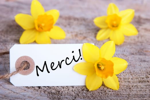 Tag with the French word Merci which means Thanks