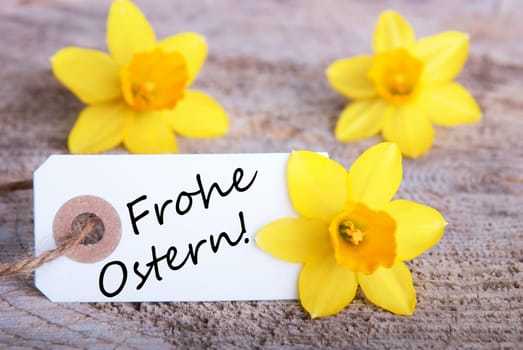 Tag with the German words Frohe Ostern which means Happy Easter