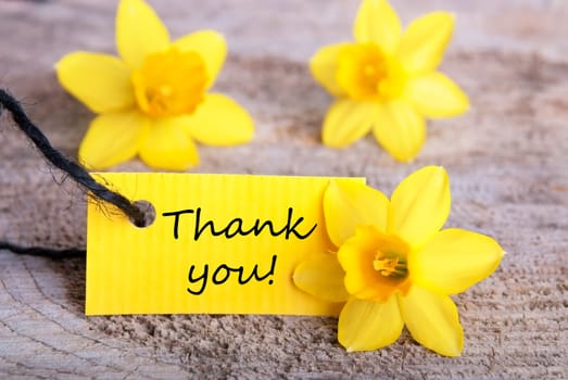 Label with Thank You and Yellow Narcisses