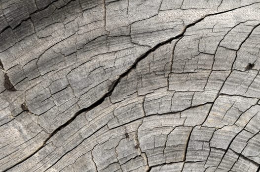 Old Vintage Architecture Wood Pattern Trunk Texture