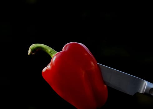 Pepper